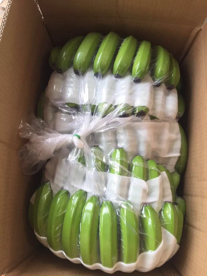 Fresh Cavendish Bananas From Vietnam - Premium Quality at the Best Price