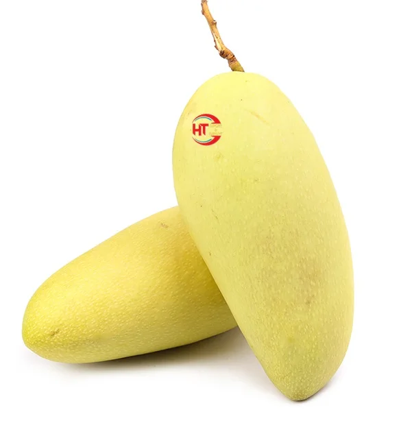Good Quality Vietnam Organic Fresh Fruit Light Sweet Taste Yellow Taiwanese Mango With Ripe Maturity