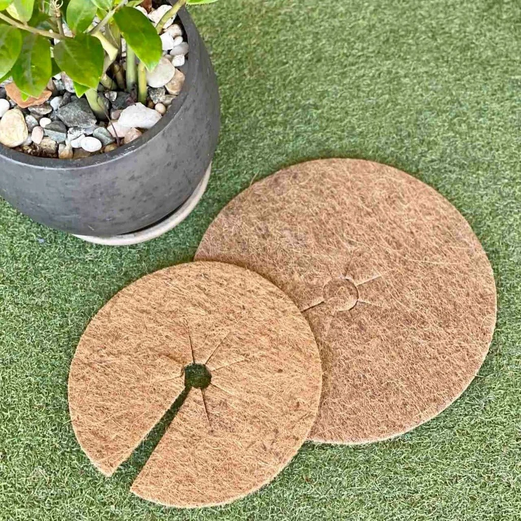 Buy Coco Fibre Mulch Mat 10 Inch Coconut Coir Fiber Moisture & Weed Control Mulch Mats By Indian Exporters