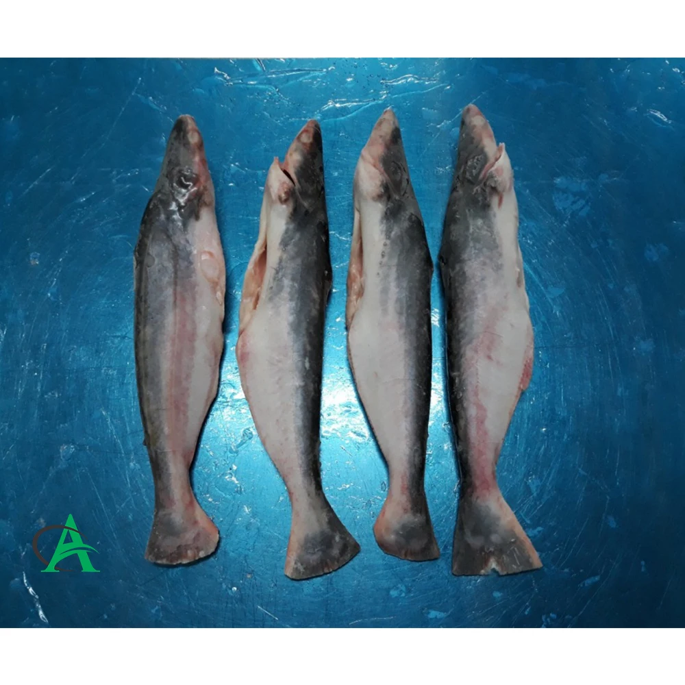 Whole round frozen seafood IQF frozen Pangasius Hot selling Fresh Frozen Pangasius Whole Fish For Sale in cheap price