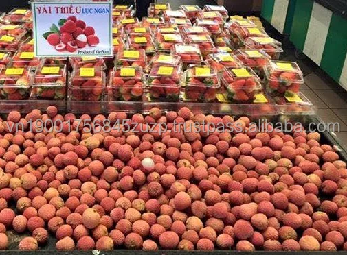 Vietnam Frozen Lychee/litchi Fresh Lychee Fruit