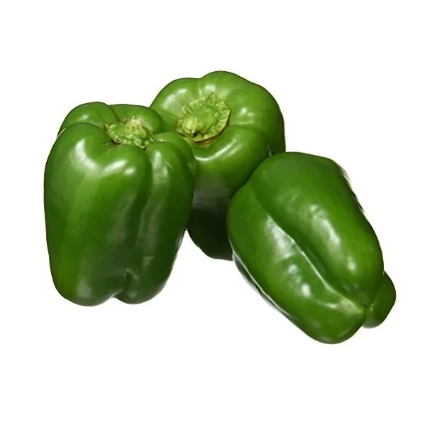 fresh pepper , FRESH CAPSICUM , bell pepper