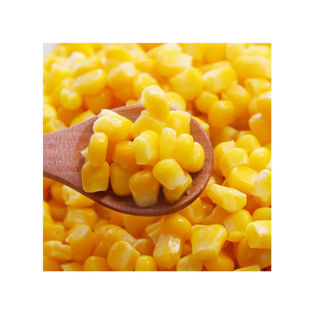 New crop season Canned sweet corn good quality from China factory Sweet kernel corn
