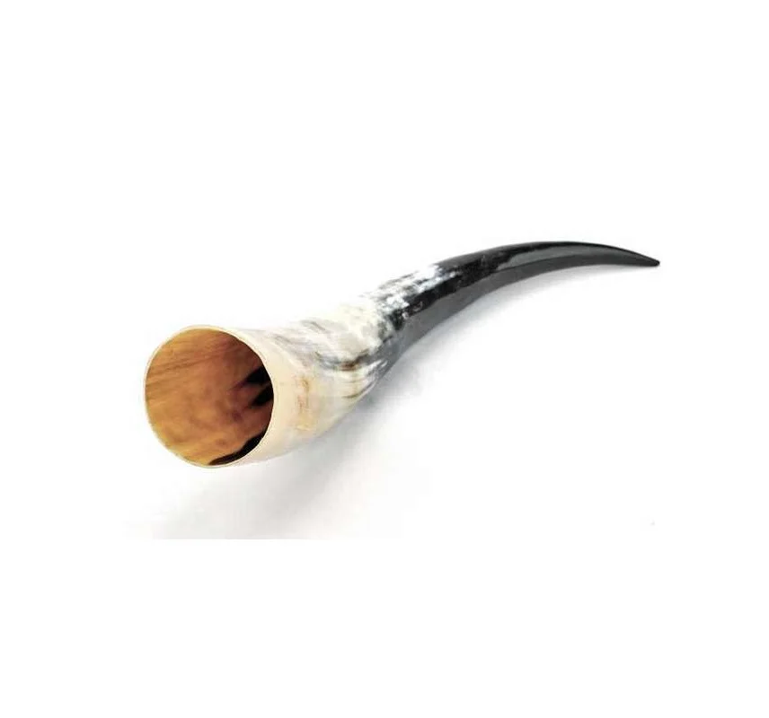 Premium Quality Horn Drinking Mug For Viking and Water Drinking At Wholesale Price From India