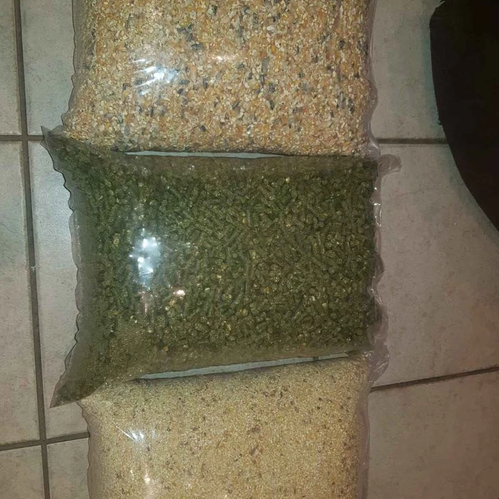 Buy Cotton seed oil cake high protein meal for animal feed