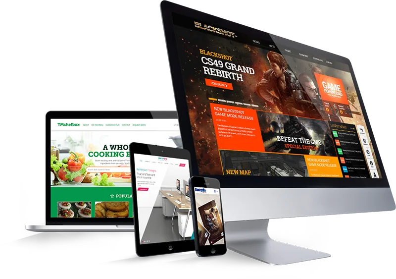 Software Development Software Designers India Software Design and Development Business Rhinos India