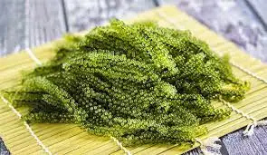 Качественный сорт лато-морского винограда для экспорта/обезвоженный морской виноград по конкурентоспособной цене