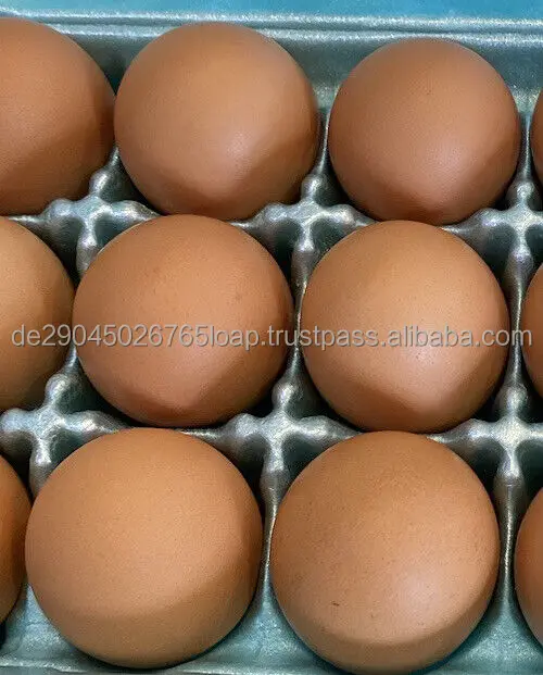 Свежие куриные яйца для фермы коричневые и белые из ракушек маленькие средние большие