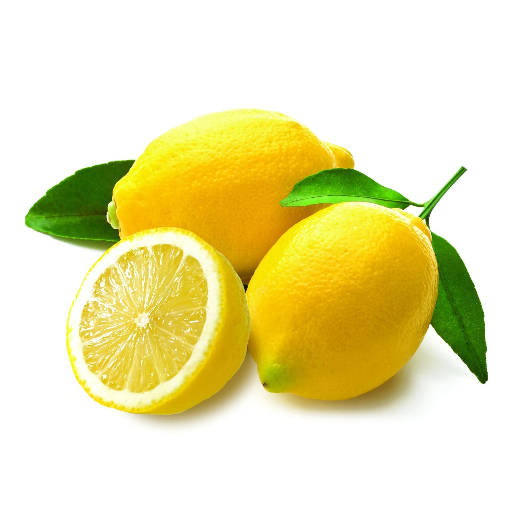 Free Sample High Quality Dried Lemon Peel Extract Powder Wholesale High-Quality Fresh Lemon Fresh Fruit for Sale