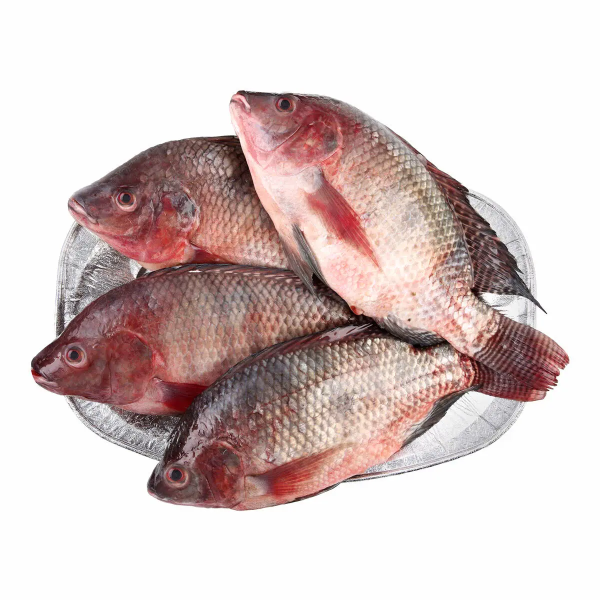 High Quality Frozen Red Tilapia Fish Frozen Tilapia Whole For Sale
