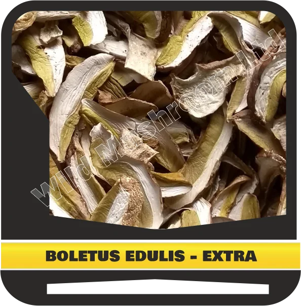 Dried Boletus edulis - extra grade. Natural Dehydrated Porcini from Eco-regions (also know as Cepa and Steinpilze)