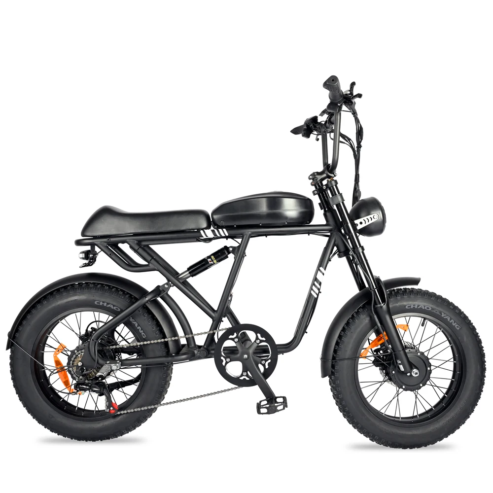 20 inch 250w 1000W dual motor 48V 100km fat tire ebike adult electric mountain bike aluminum alloy adult suv electric bike