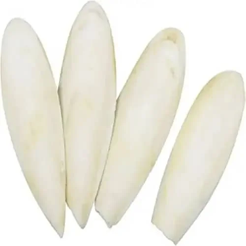 Premium Dry Cuttlefish Bone Big Size Cuttlebone Natural Cuttlefish Bone