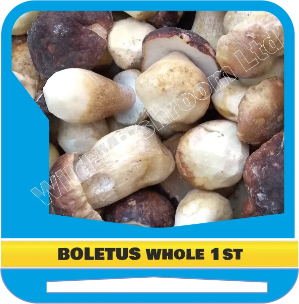Frozen Boletus edulis (Cepas, Porcini, Steinpilze) whole first grade. Natural wild-growing mushrooms from Bulgarian forest.