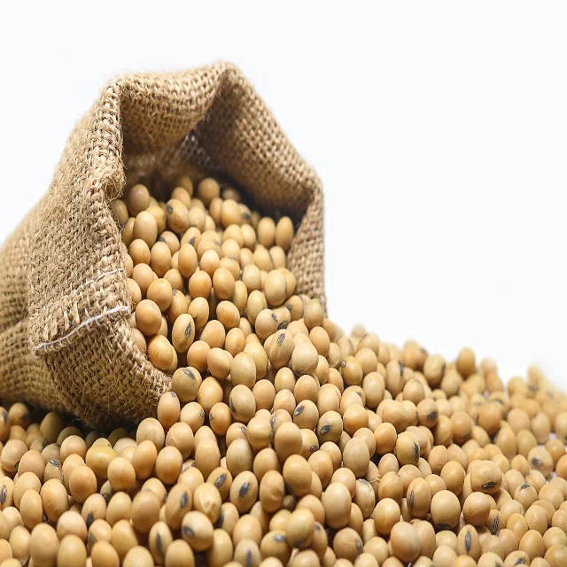 Factory Wholesale Organic Soybeans Non Gmo Soy Top Grade Yellow Soybeans