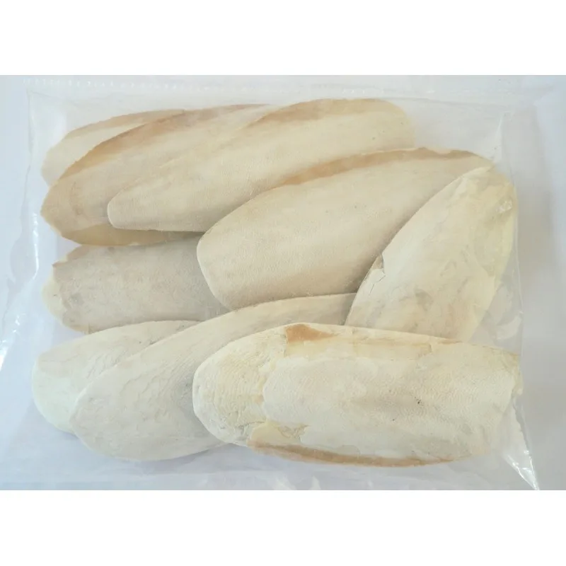 Dried Cuttlefish Bone For Birds Buy Wholesale Price Cuttlefish Bone Best Price Squid Bone-Cuttlebone