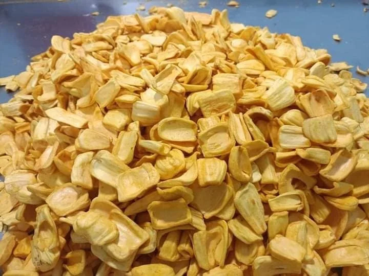 HIGH QUALITY DRIED JACKFRUIT VIETNAM/DRIED JACKFRUIT CHIPS FOR SNACK ( Ms Jolie - whatsapp +84902679738)