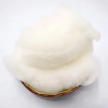100% Natural and pure Raw Cotton Fiber / Organic Raw Cotton Fiber  Available in bulk