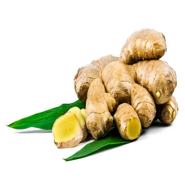 Cheap Price Bulk Sale Top Quality 250G Mature Fresh Air dry Chinese Specification Ginger Export To Europe Market wholesale