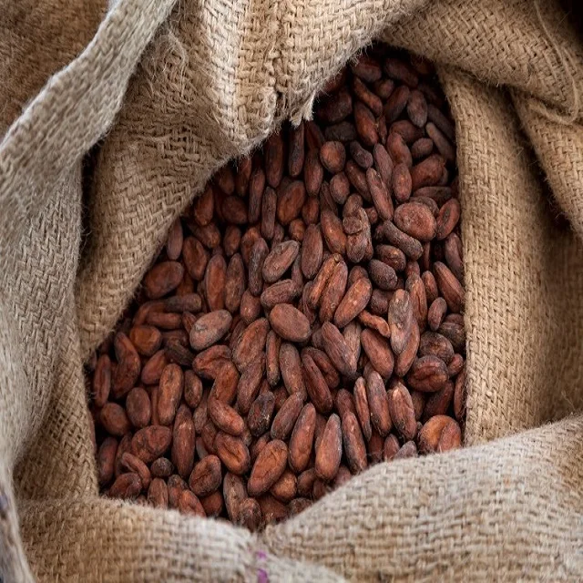 Buy High Quality Brazil Cocoa Beans Fresh Cacao Beans and Fine Cocoa Powder Best Price Guaranteed