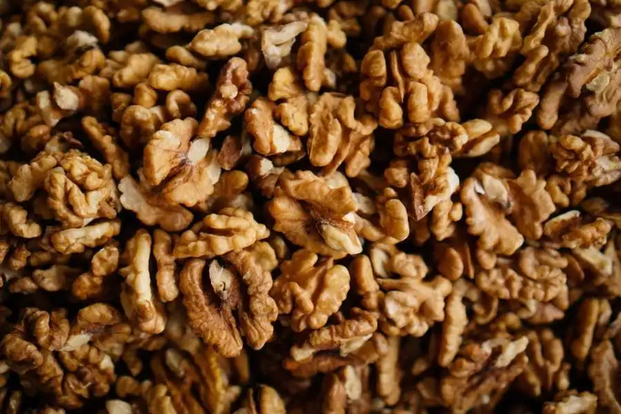 Special discount ceviz top quality in shell walnuts for sale walnut dry fruit