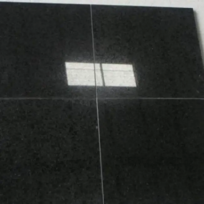 Modern Design Polished Basalt Tiles Hot Deal on Bathroom Floor from Vietnam Made of Natural Stone Granite by Supplier