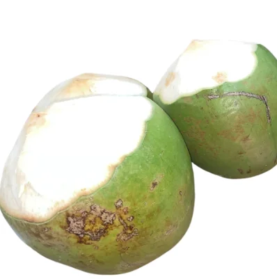 Premium Grade Green Husked Coconut 100% Organic from Farms in Ben Tre, Vietnam (WhatsApp: +84 366 808 6831)
