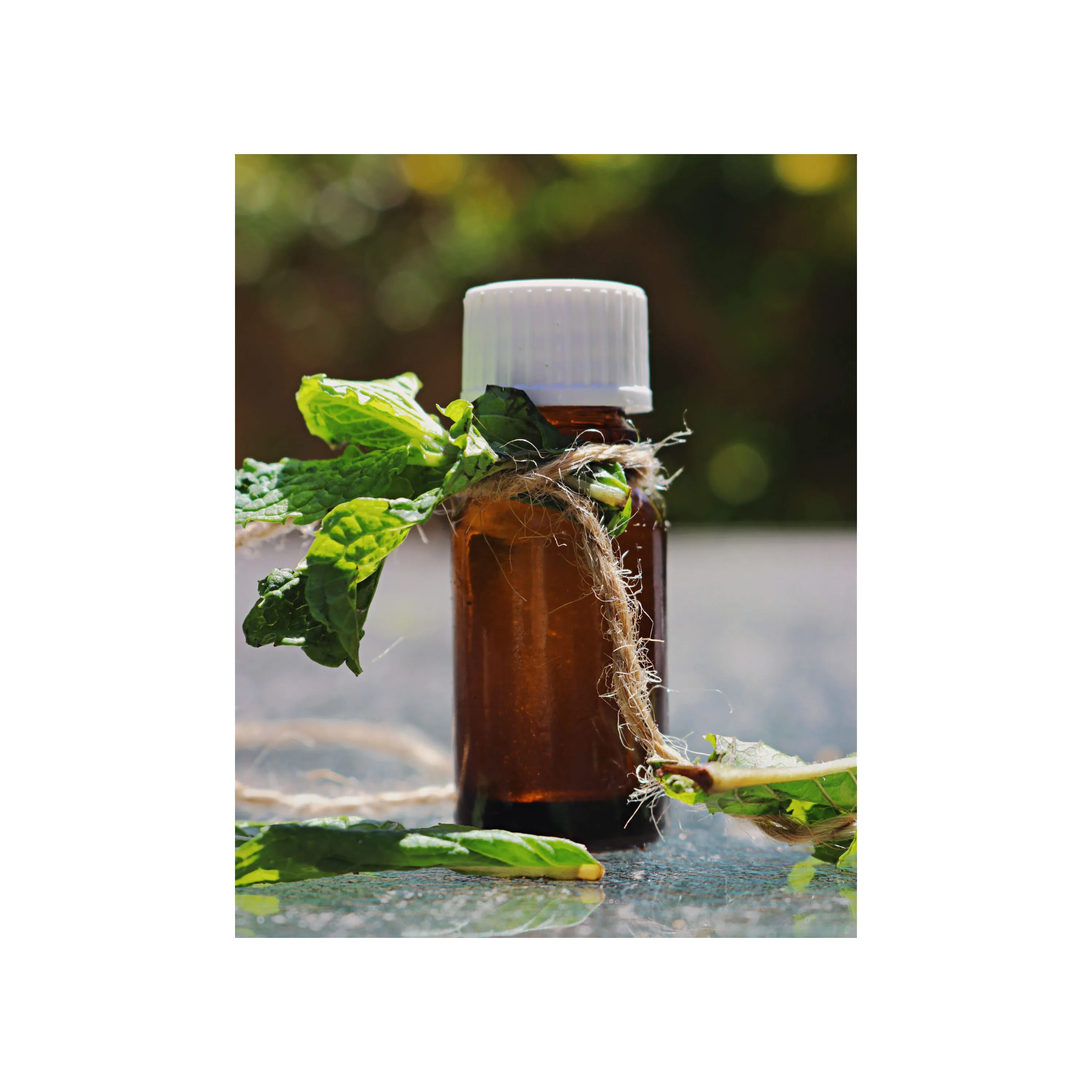 Pure and Natural Cold Pressed Organic Peppermint Seed Oil Wholesale Bulk Price Base Oil