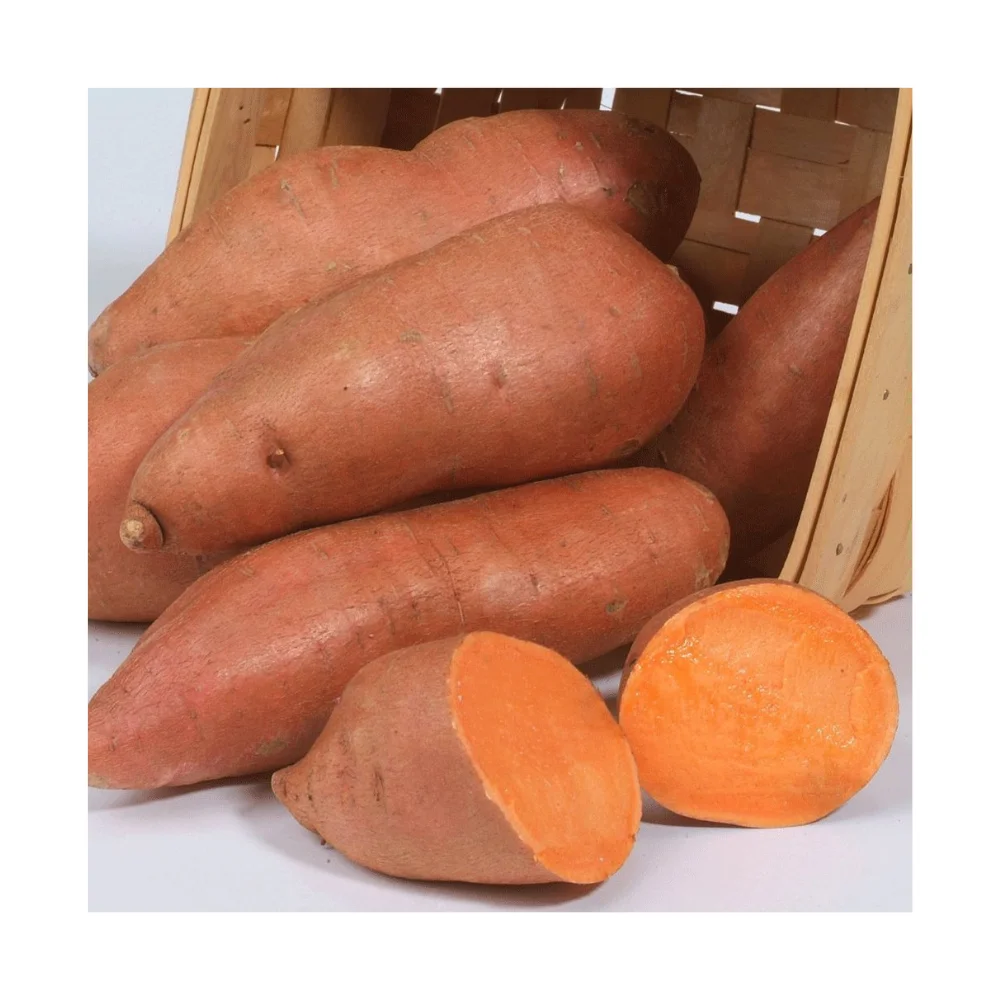 Самая низкая цена на рынке от вьетнамского нашего продукта сладкий желтый картофель лучшего
