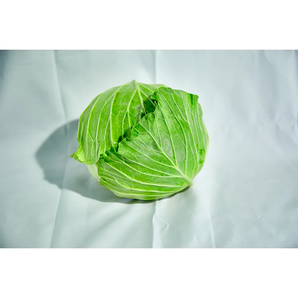 Fresh Vegetables Fresh Cabagle and Tomato  From Wholesale Green Farmer In Vietnam High Quality Nutrition Food