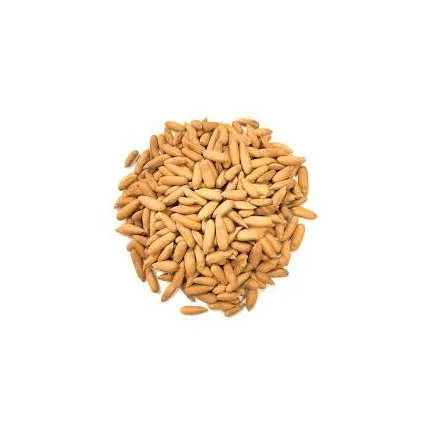 2021 продажи кедровых орехов оптом кедровый орех в скорлупе русский вкусные кедровые орехи цена ядра кедра