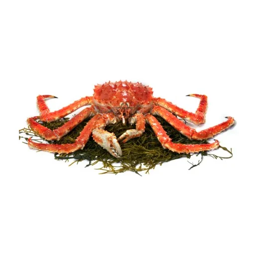 Wholesale Whole Alaskan Grade Red Legs Frozen Soft Shell Crabs Live Mud Crabs Red King Crabs Sale in Bulk