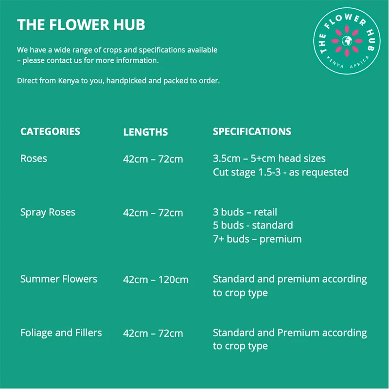 Wholesale Kenyan Fresh Cut Roses and Yellow Spray Carnations Bouquet Retail Flowers with Stem Premium Fresh Bunch