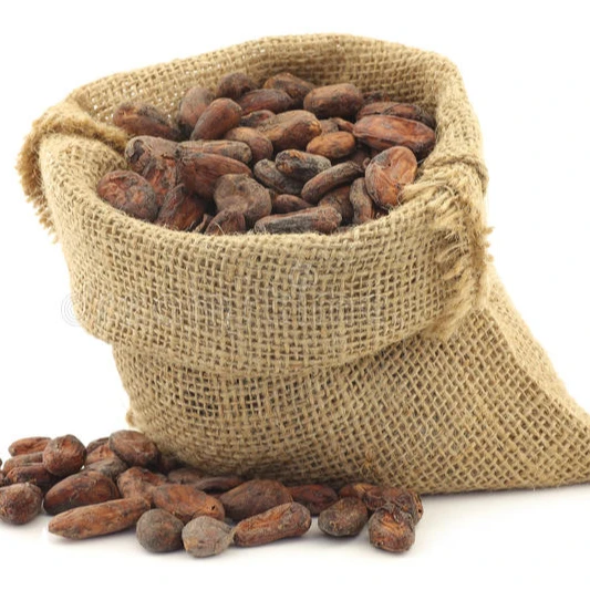 Cheap Price Best Quality Origin Dried Raw Cocoa Beans