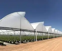 New Style Smart Aquaponics Greenhouse Complete Growing Systems For Multi-span Greenhouse
