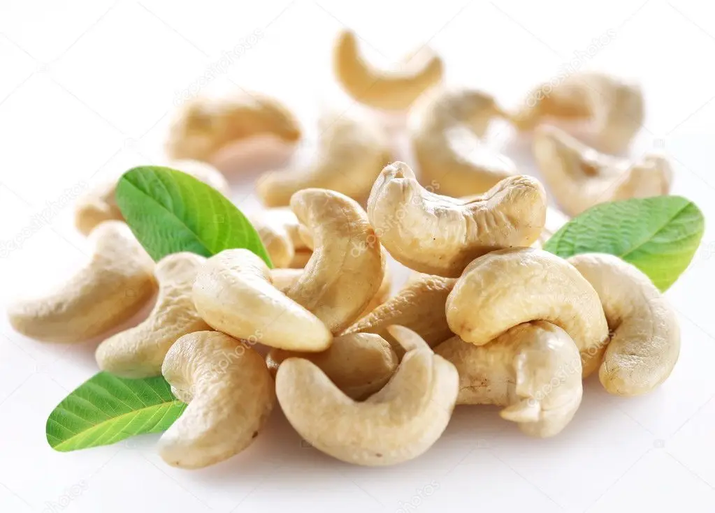 Quality organic Wholesale Raw Cashew Nuts | Cashew Nut Size W180 W240 W320 W450  Roasted Cashew Nuts.