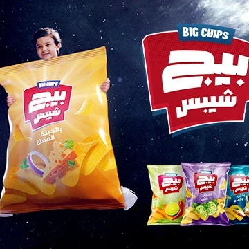 Direct Factory Export Potato Chips (big chips) different Flavour 40g