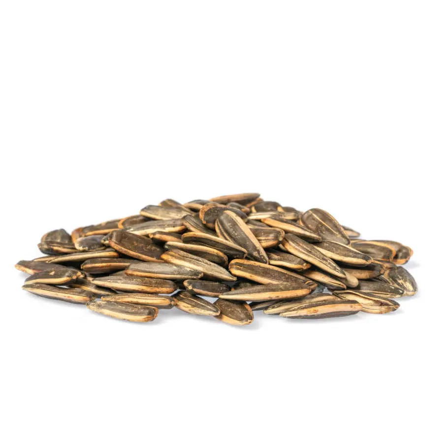 Best Quality Turkish Sunflower Seeds Organic sunflower