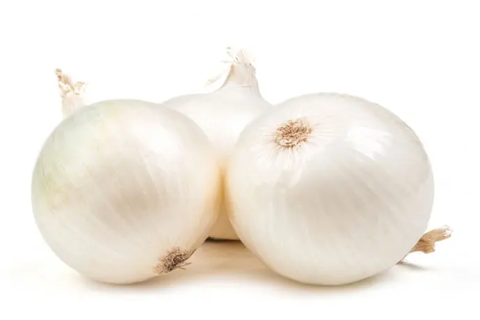 Fresh Onion Onions Fresh Packaging New Crop Mexico Harvester Wholesale Onion Cebolla Blanca High Quality