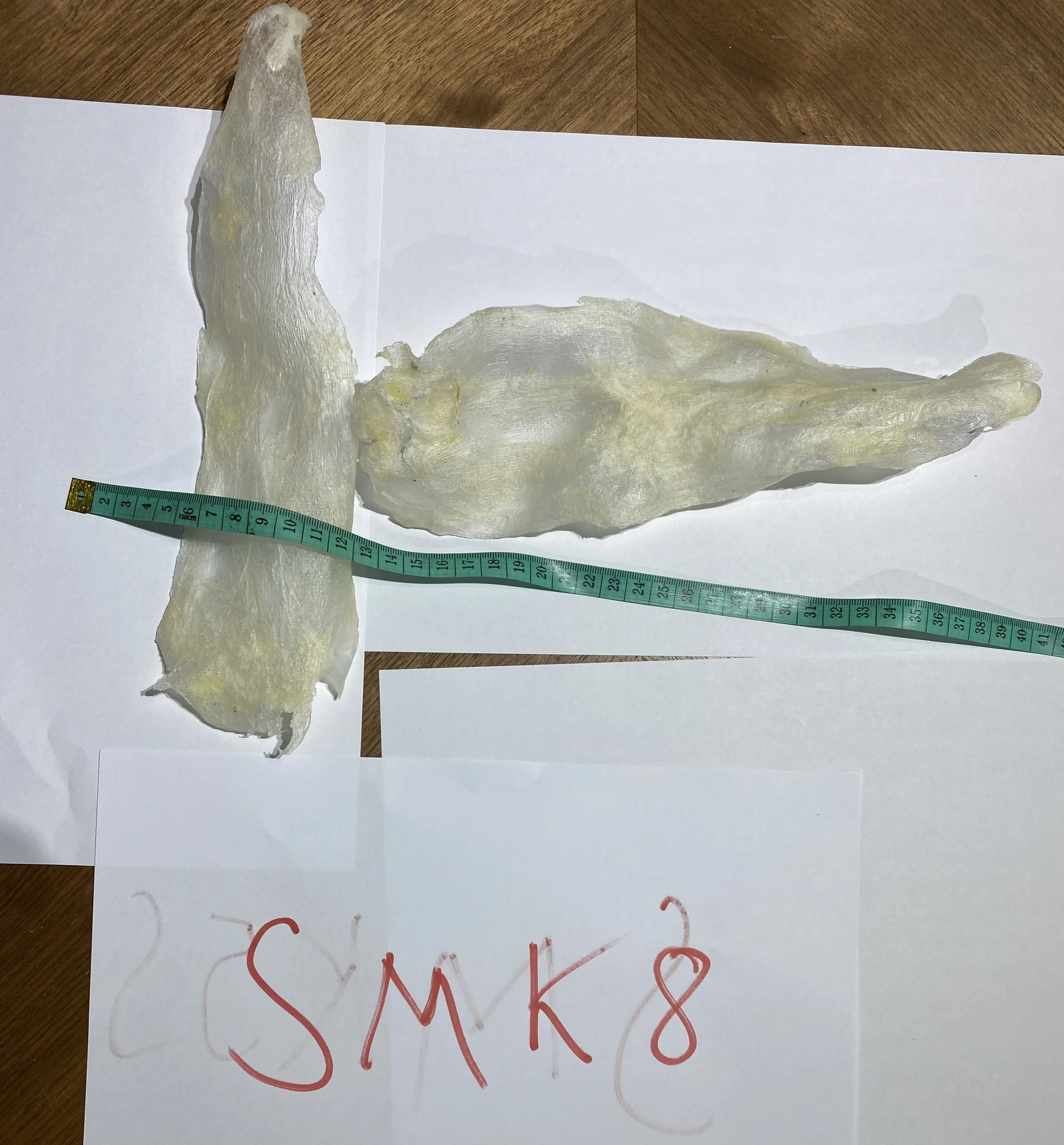 FISH MAW SUN DRY FISH MAW NATURAL PREMIUM QUALITY FISH MAW FROM VIETNAM