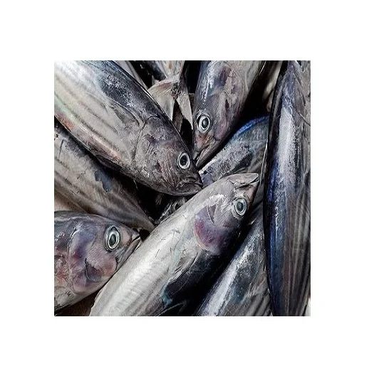 Cheap Price Bulk Sale Top Quality Hake whole fish Frozen Hake fish fillet hake wholesale sale From German Supplier