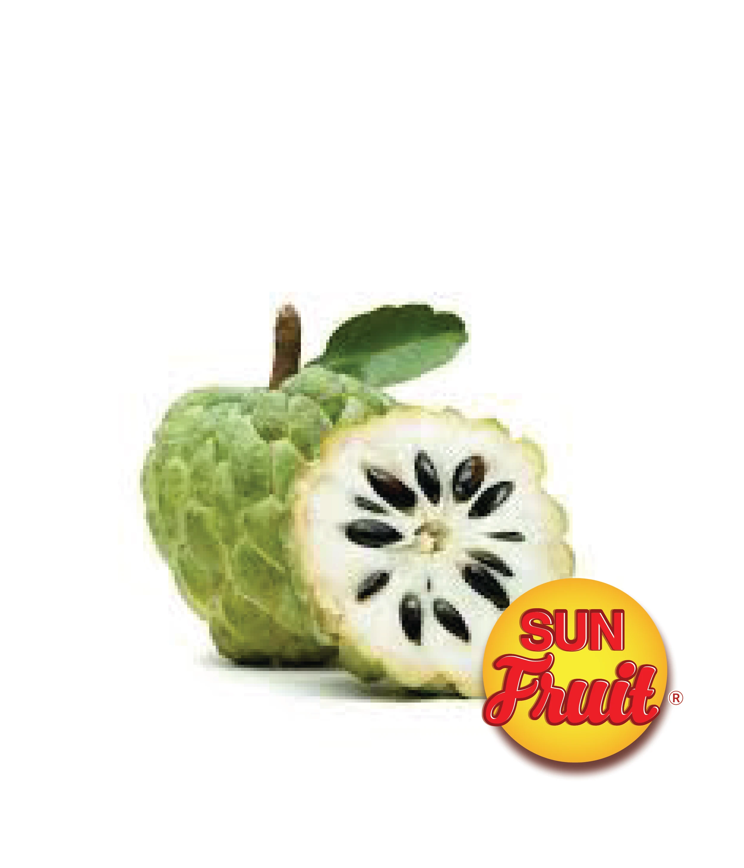 Fresh Sugar Apple Wholesale Best Price 2023