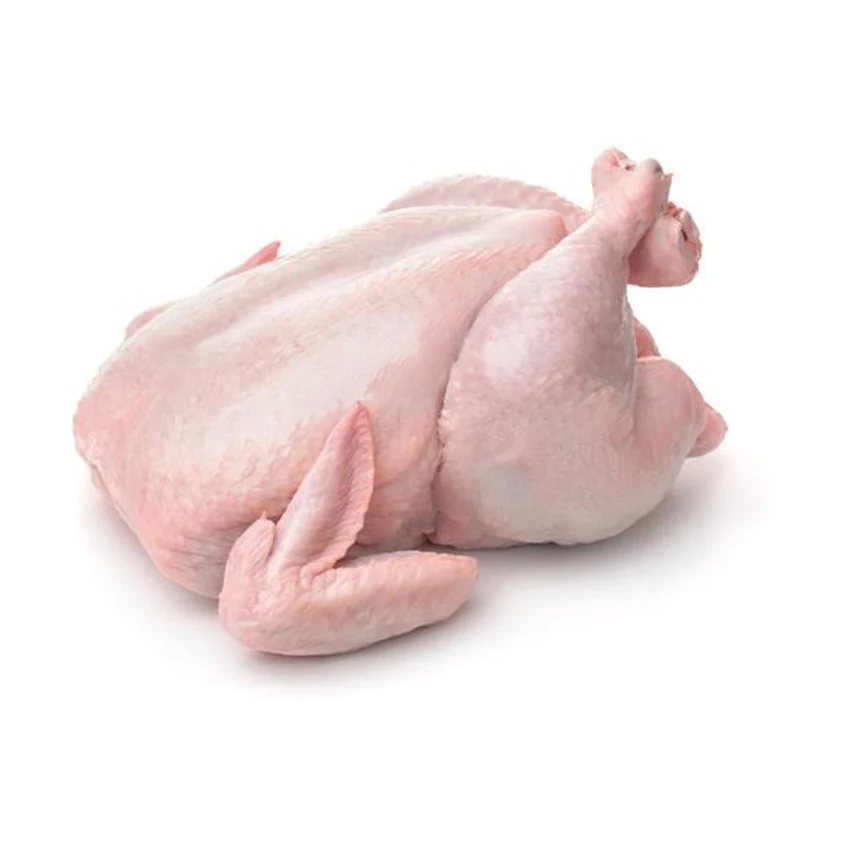 Cheap Prices Halal Whole Frozen Chicken QUALITY HALAL WHOLE FROZEN CHICKEN FROM BRAZIL