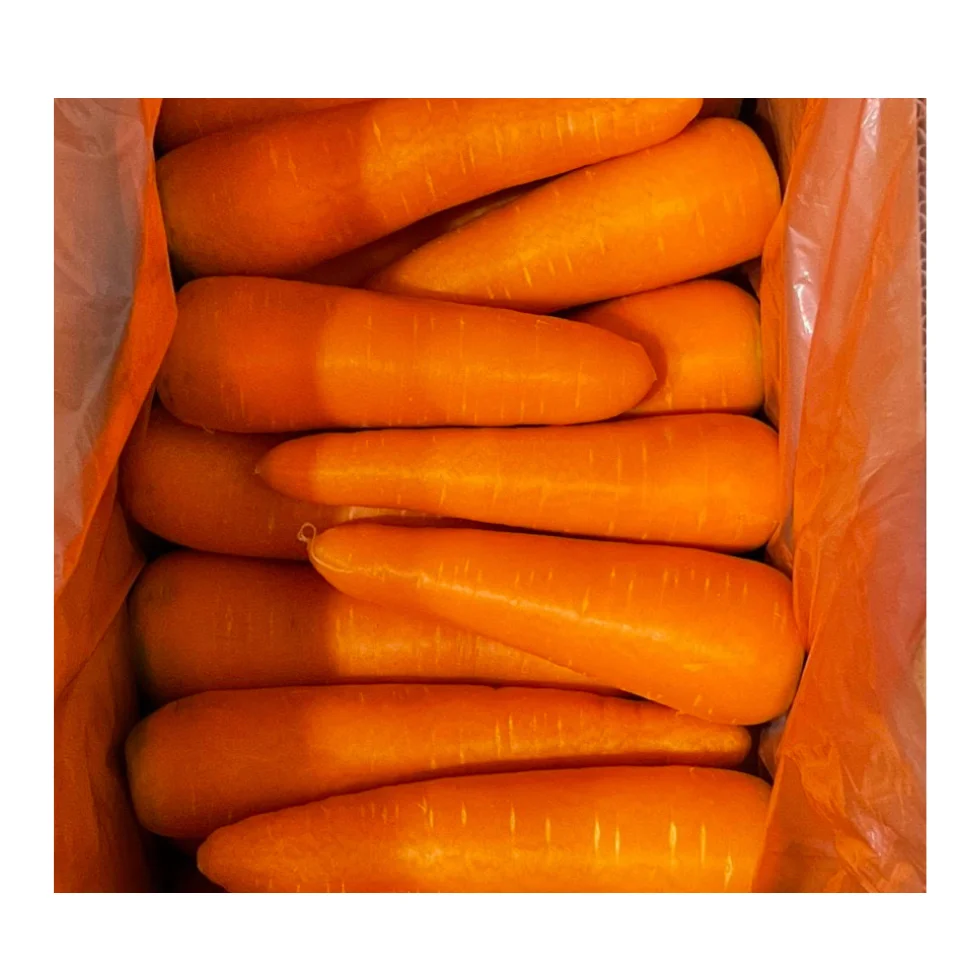 2023 China Fresh Carrot Production With High Quality New Crop Gap For Export From 99 Gold Data