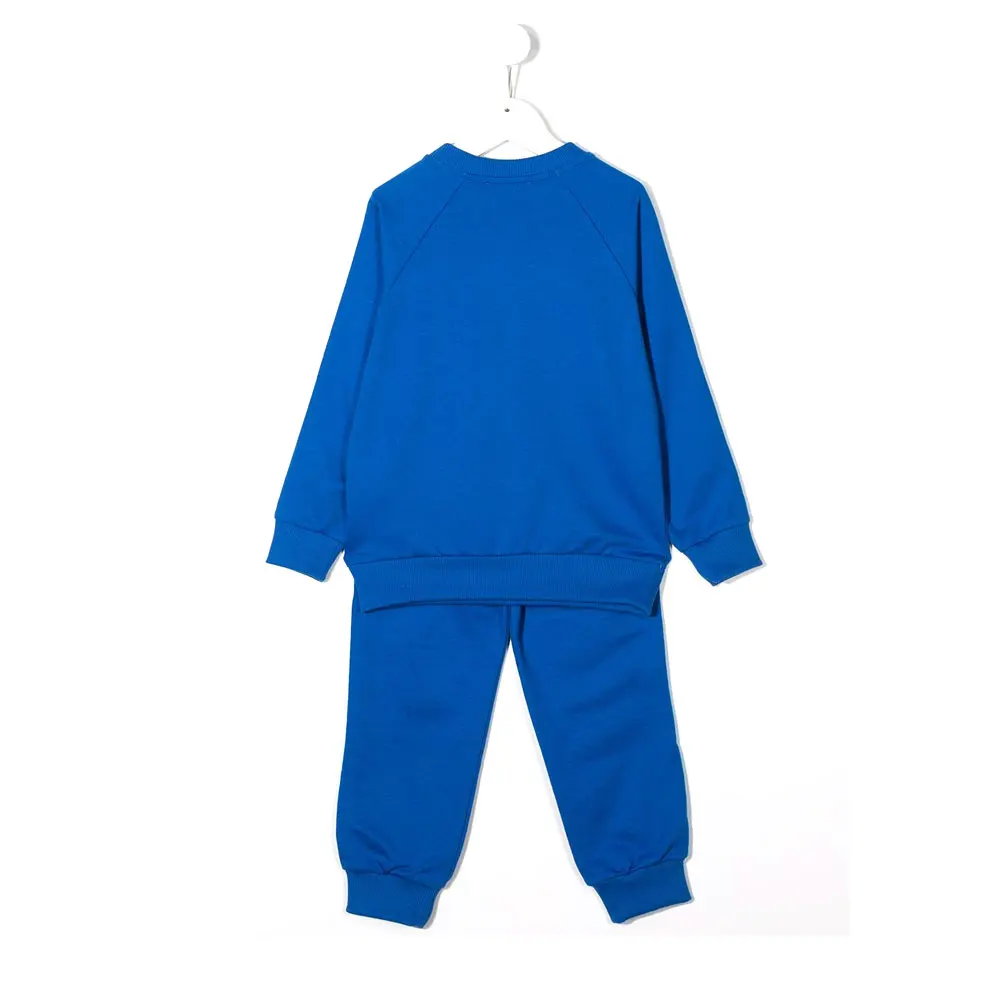 Baby Clothing Sets Kids Boys Girls Spring Autumn Loose Tracksuit Casual Unisex SK Solid Denim 100% Cotton