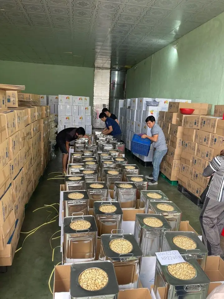 Vietnamese Cashew Nuts - Original W240, W320, W180 Grades for Import and Export