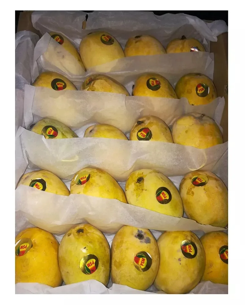 Манго Кот Хоа Лок манго Chu экспортное качество 100% натуральные без