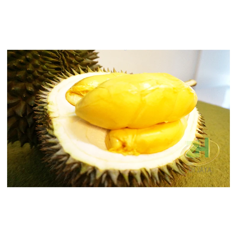 Malaysia Factory Supply Fresh D101 Durian (Frozen Pulp) Perfect For First-timers As It Tastes Sweet and Mild
