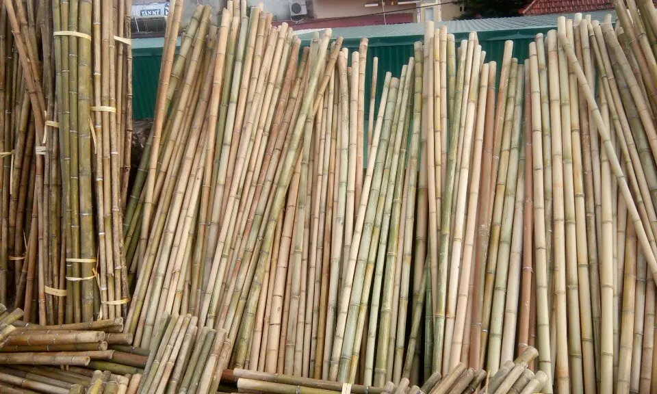 Лидер продаж прочный вьетнамский завод и 100% Сырье бамбуковый шест с индивидуальным размером