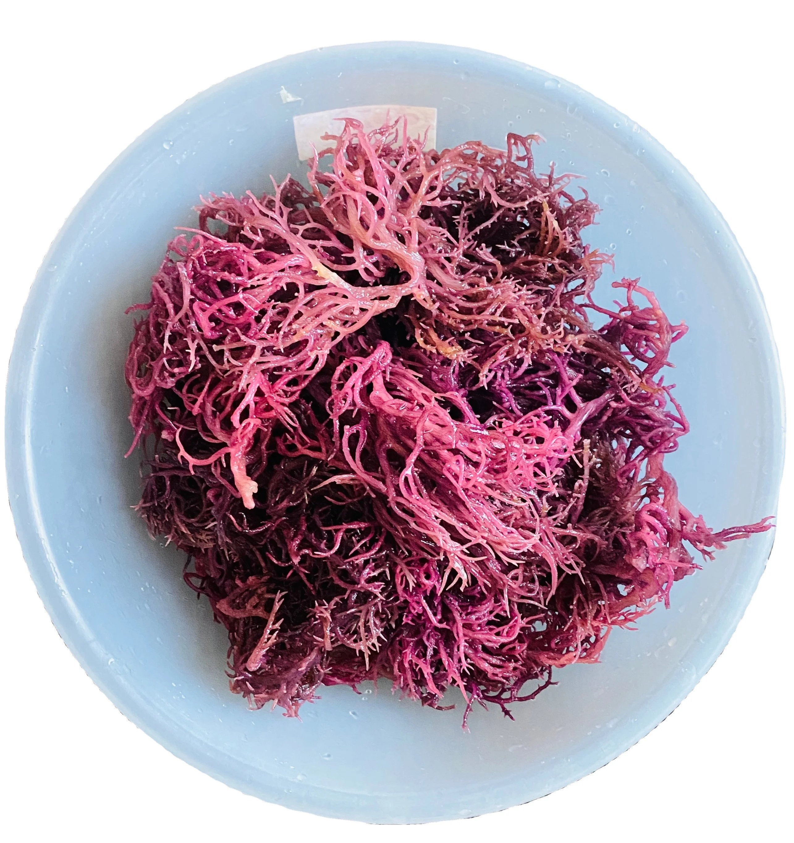 Dried brown sea moss Irish moss seaweed Chondrus crispus eucheuma cottonii seaweed From Vietnam Tracy